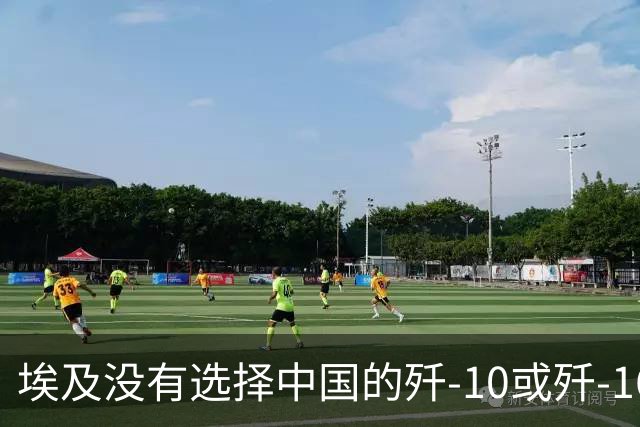 埃及没有选择中国的歼-10或歼-16，反而追加订购了24架法国“阵风”。这透露出一个清晰信号：开罗根本没打算跟以色列正面硬刚