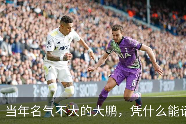 当年名气不大的大鹏，凭什么能请来半个娱乐圈明星客串《屌丝男士》？